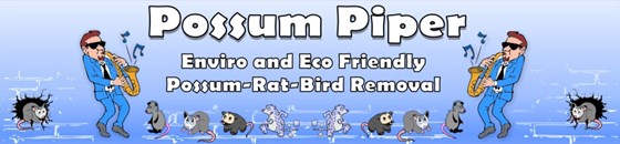 Possum Piper: Possum Removal Sydney