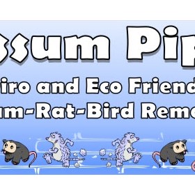 Possum Piper: Possum Removal Sydney